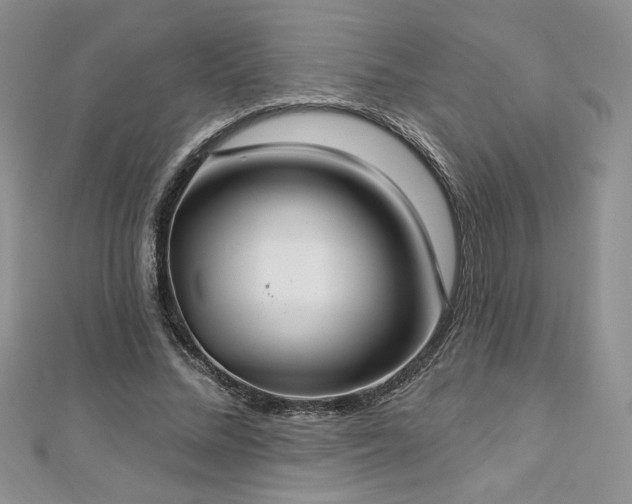 X0000113180684200909041343