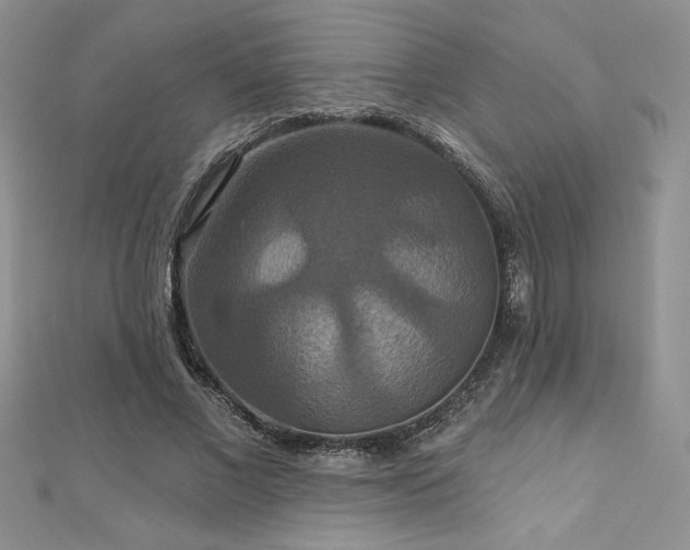 X0000113180685200909041343