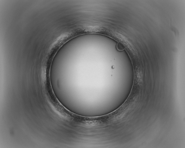 X0000113180686200909041343