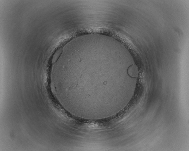 X0000113180687200909041343