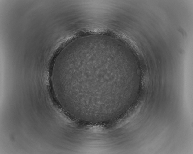 X0000113180689200909041343