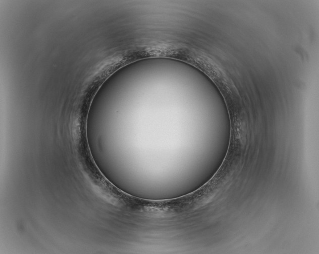 X0000113180690200909041343