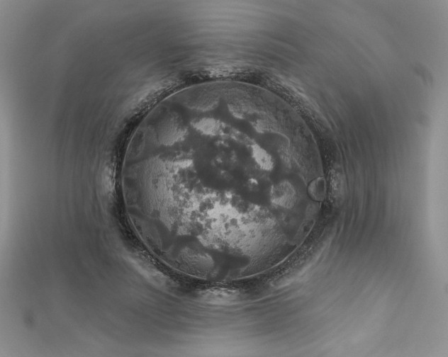 X0000113180691200909041343