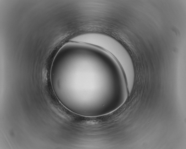 X0000113180692200909041343