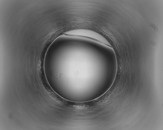 X0000113180693200909041343