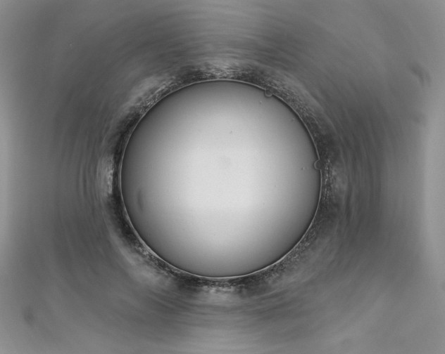 X0000113180694200909041343
