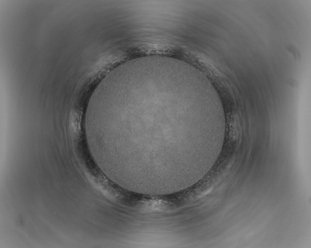 X0000113180695200909041343