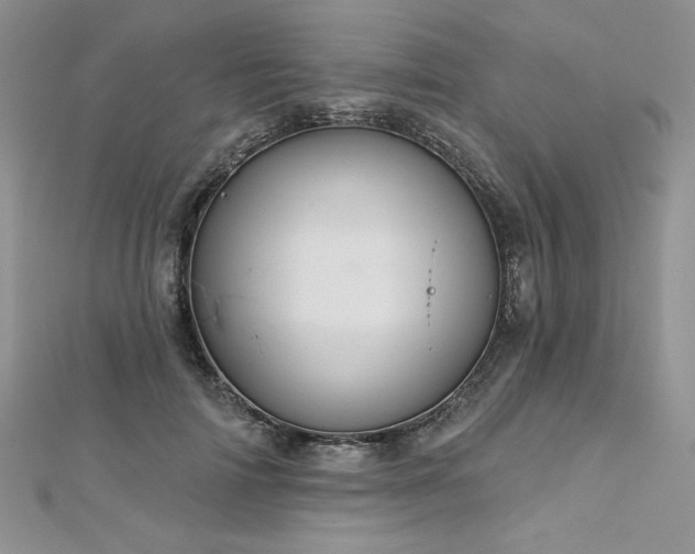 X0000113180698200909041343