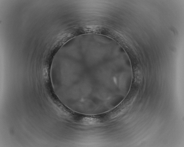 X0000113180699200909041343