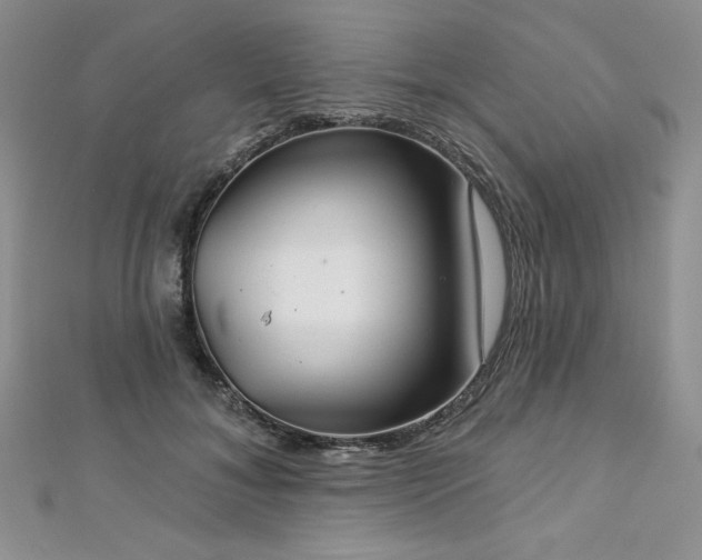 X0000113180700200909041343