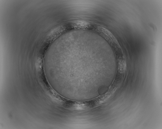 X0000113180701200909041343