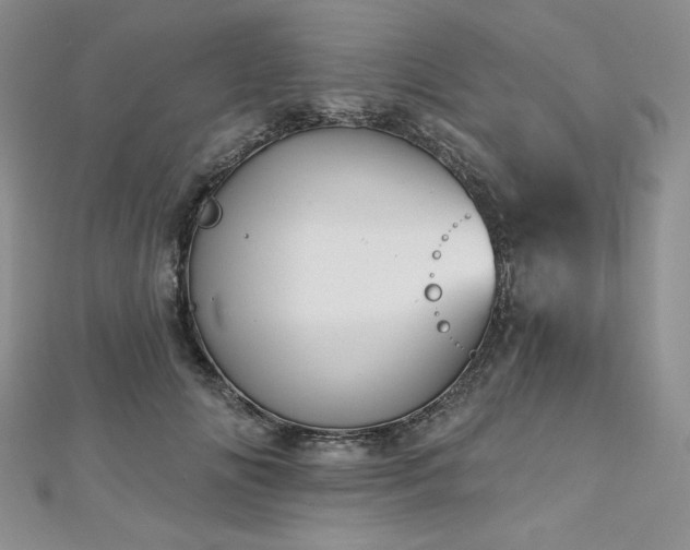 X0000113180702200909041343