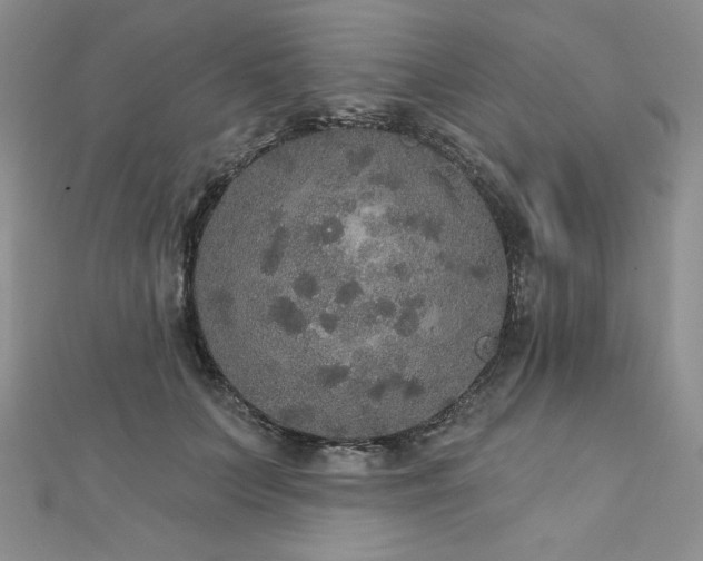 X0000113180703200909041343