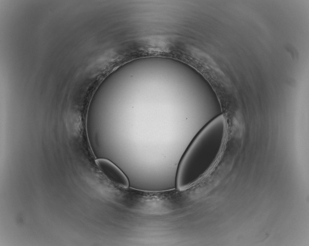 X0000113180704200909041343