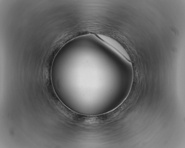 X0000113180705200909041343