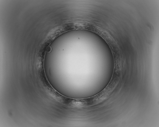 X0000113180706200909041343