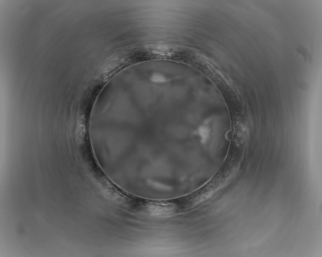 X0000113180707200909041343