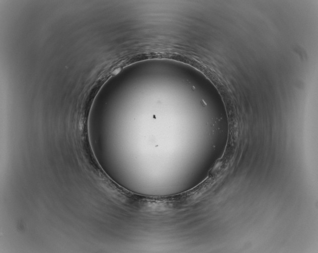 X0000113180709200909041343