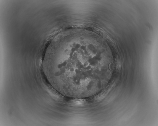 X0000113180711200909041343