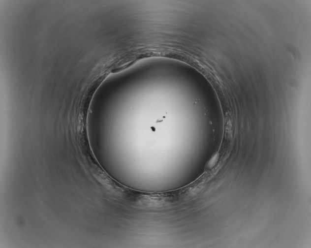 X0000113180713200909041343