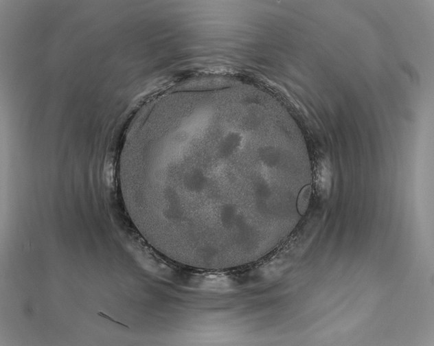 X0000113180715200909041343
