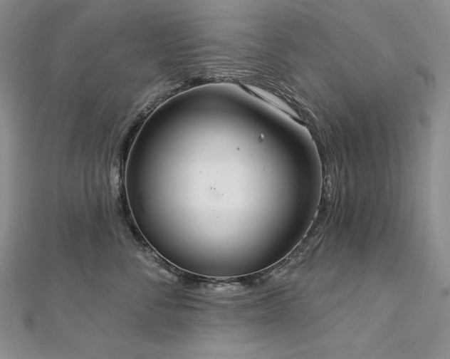 X0000113180716200909041343