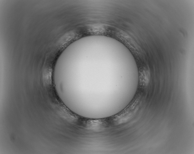 X0000113180717200909041343