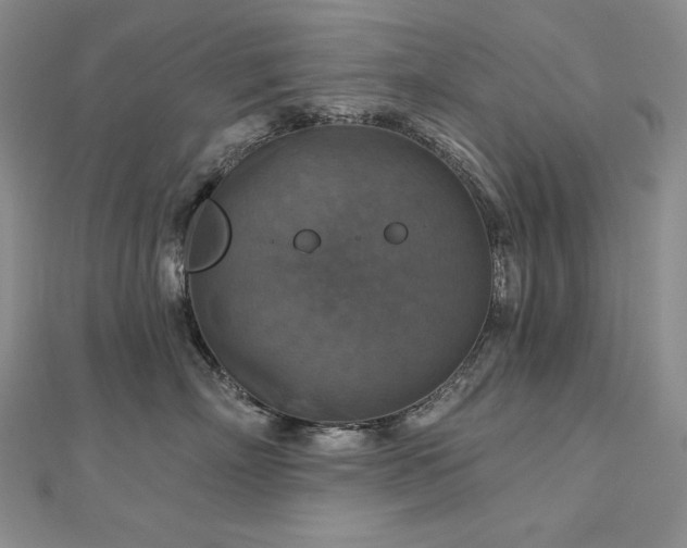 X0000113180718200909041343