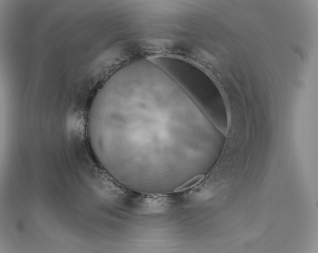 X0000113180720200909041343