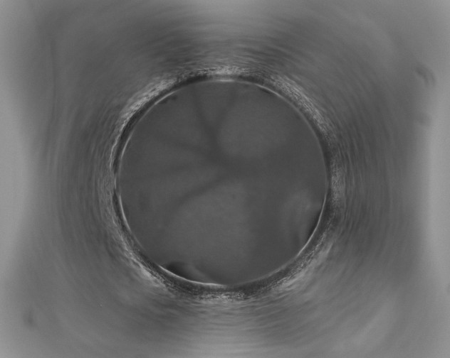 X0000113180721200909041342