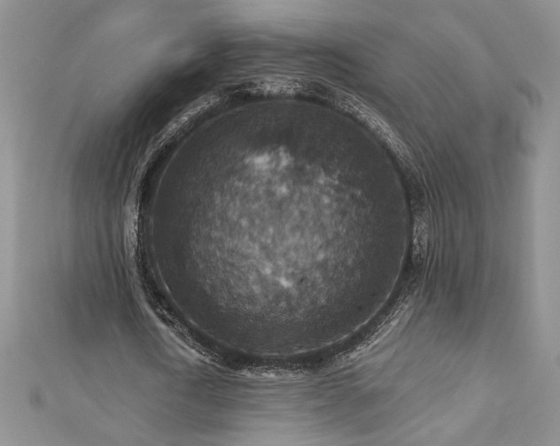 X0000113180722200909041342