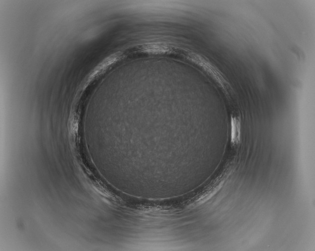X0000113180723200909041342