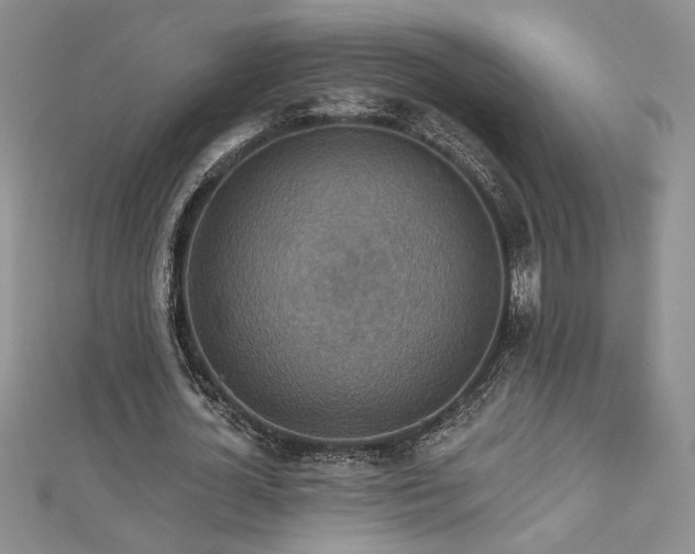 X0000113180724200909041342