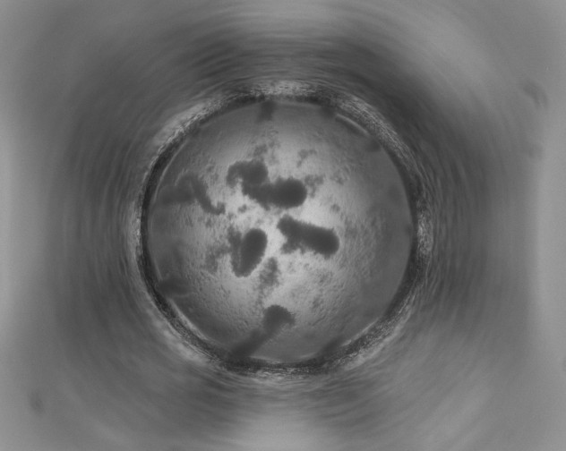 X0000113180725200909041342