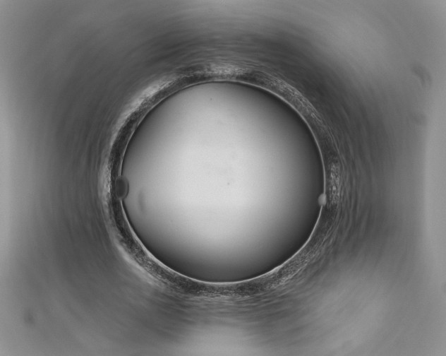 X0000113180726200909041342