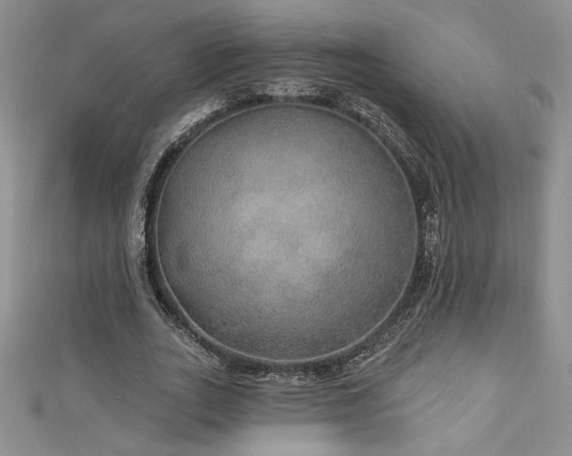 X0000113180727200909041342