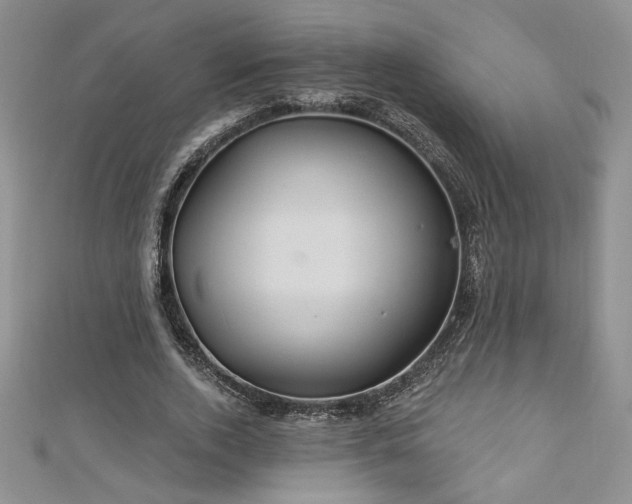 X0000113180728200909041342