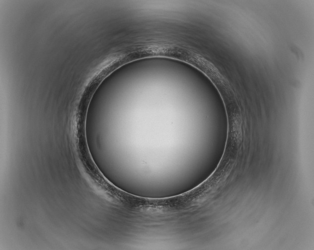 X0000113180730200909041342