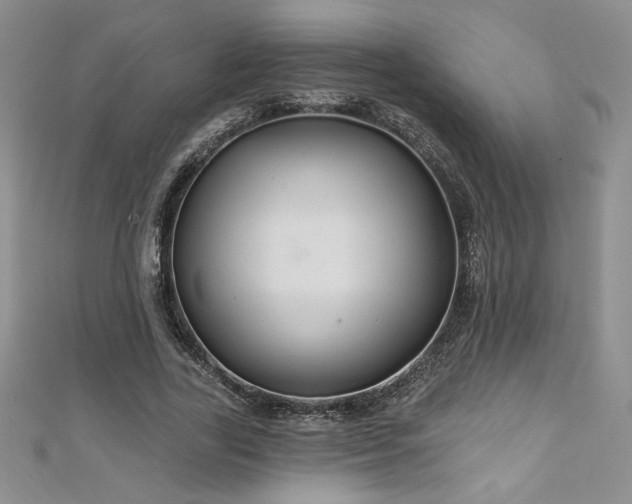 X0000113180731200909041342