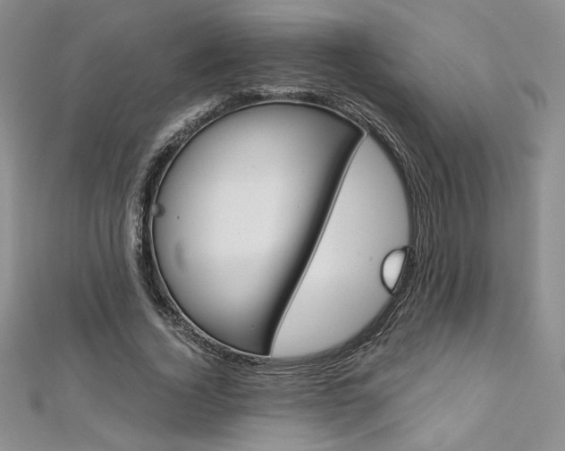 X0000113180732200909041342