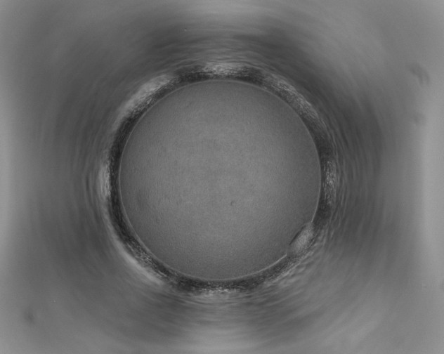 X0000113180734200909041342