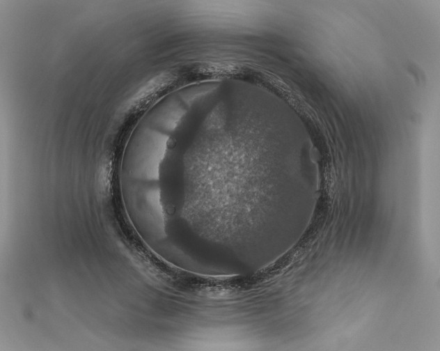 X0000113180735200909041342