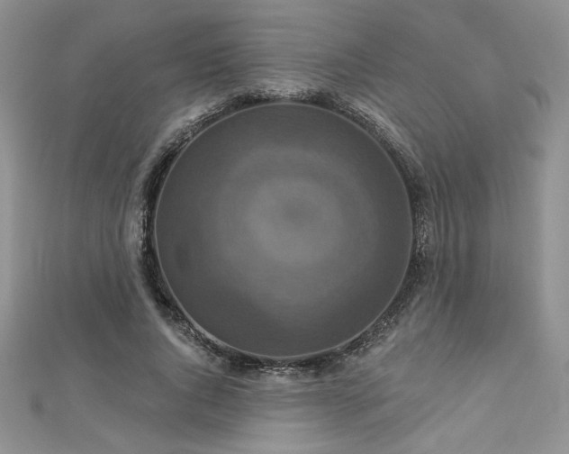 X0000113180736200909041342