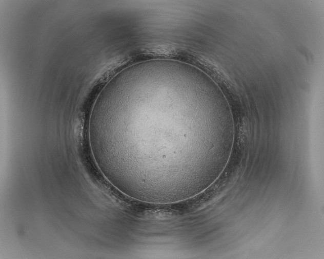 X0000113180739200909041342