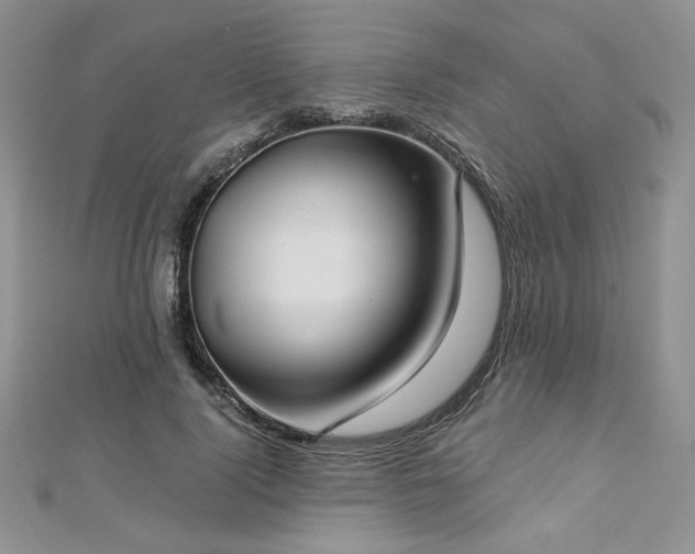 X0000113180740200909041342