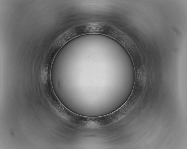 X0000113180741200909041342