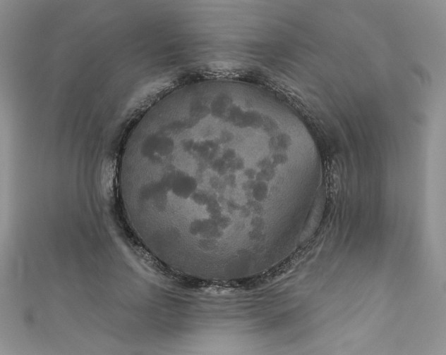 X0000113180742200909041343