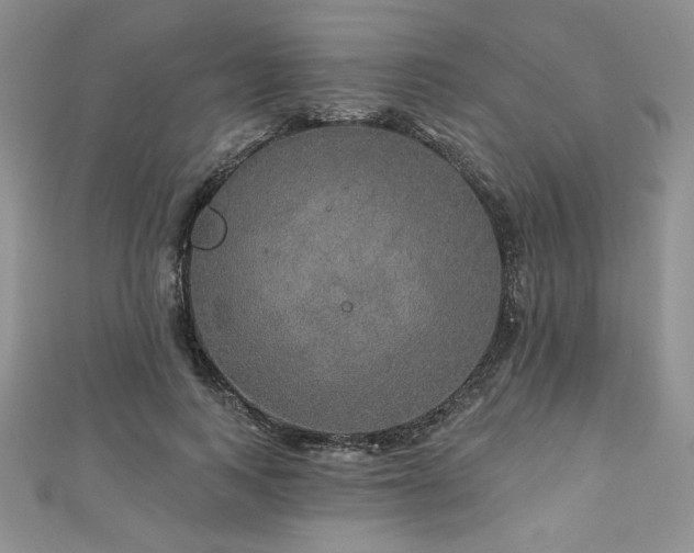X0000113180743200909041343