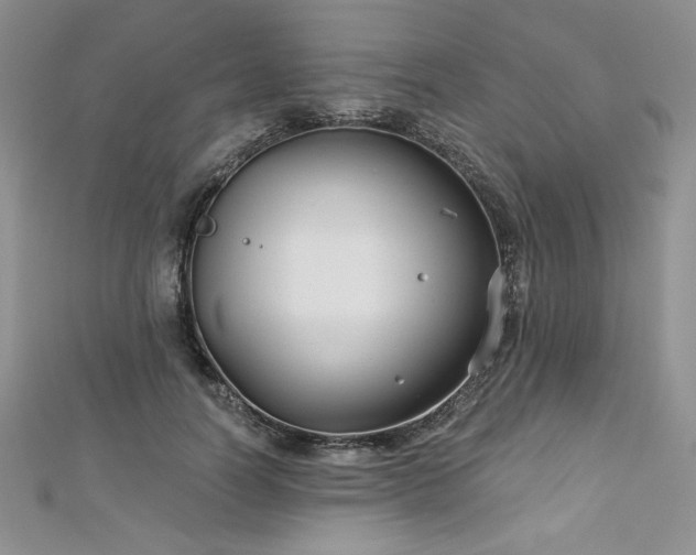 X0000113180746200909041343