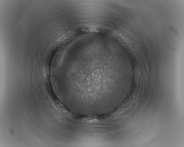 X0000113180747200909041343
